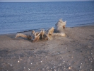 Αμμονησίδα / Sandy islet (A. Athanasiadis) 