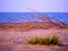 Αμμονησίδα / Sandy islet (A. Athanasiadis) 