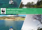 WWF Impact Ventures WWF Impact Ventures