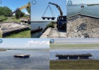Tern raft to help Common Terns to breed Tern raft to help Common Terns to breed